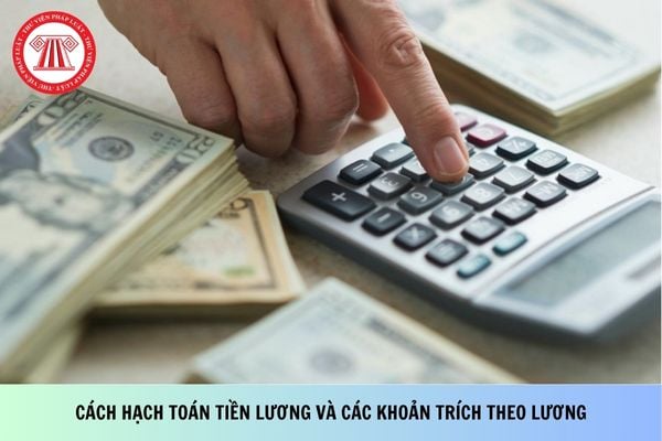Cách hạch toán tiền lương và các khoản trích theo lương cụ thể chi tiết?