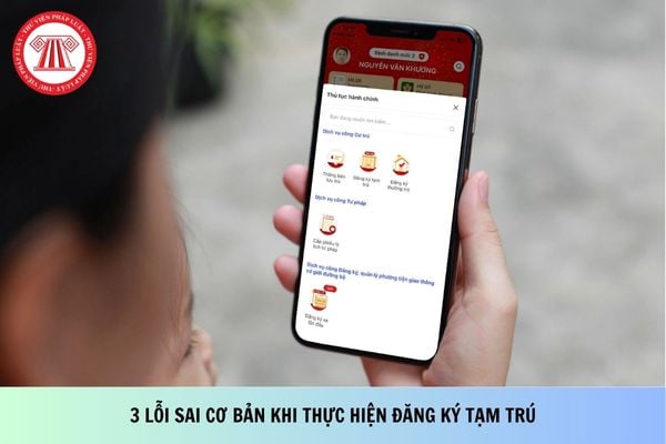 Pháp luật