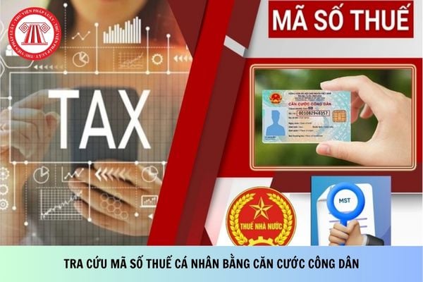Pháp luật