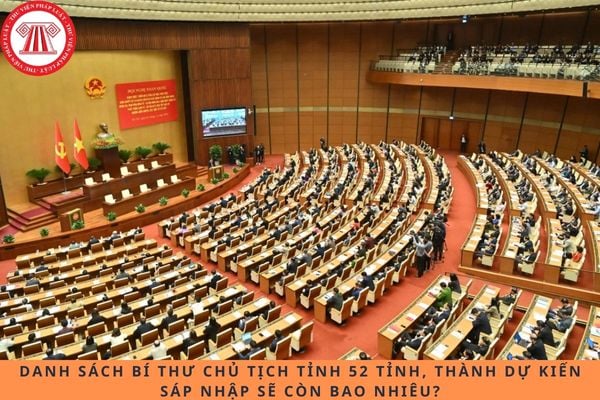 Pháp luật