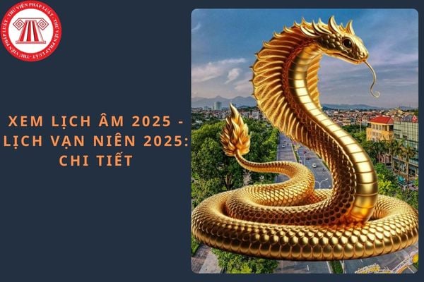 Pháp luật