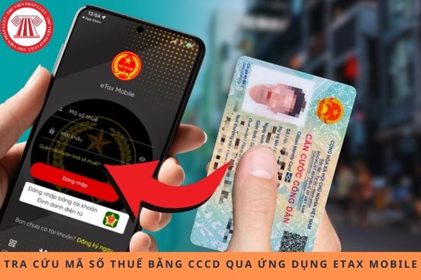 Pháp luật