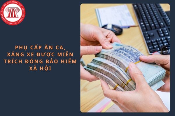Pháp luật
