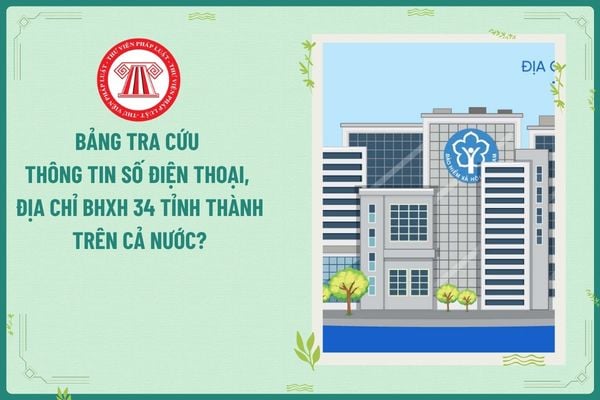 Pháp luật