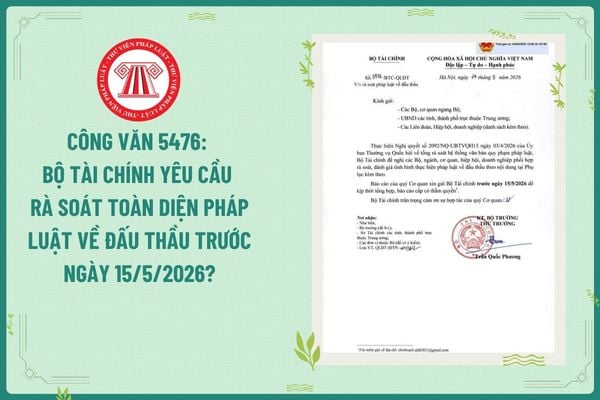 Pháp luật