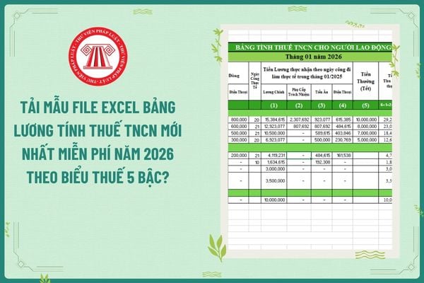 Pháp luật