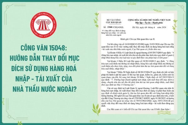Pháp luật