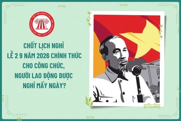 Pháp luật