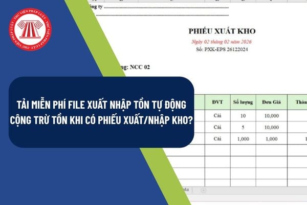 Pháp luật