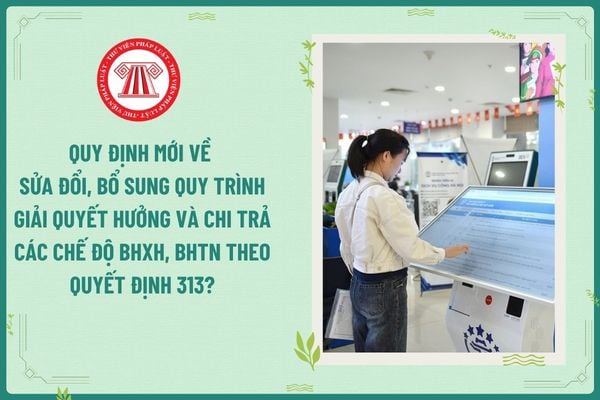 Pháp luật