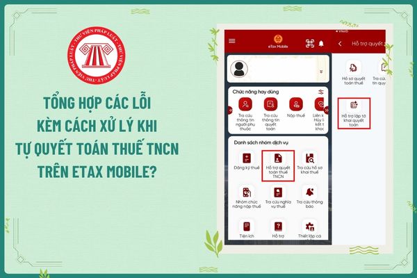 Pháp luật