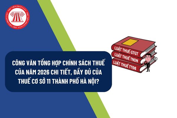 Pháp luật