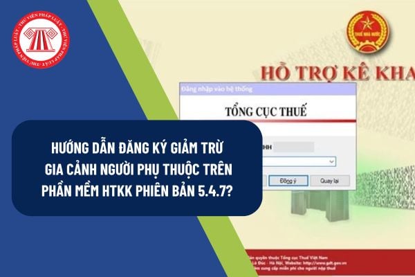 Pháp luật