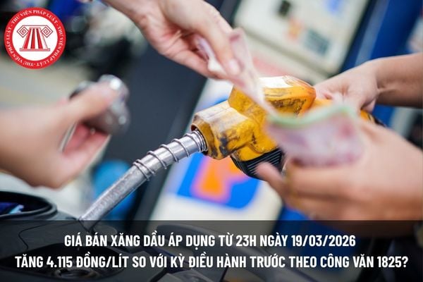 Pháp luật