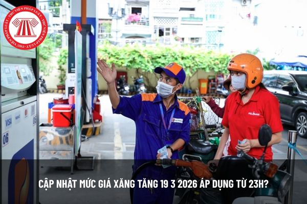 Pháp luật