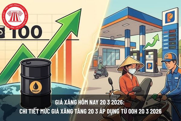 Pháp luật