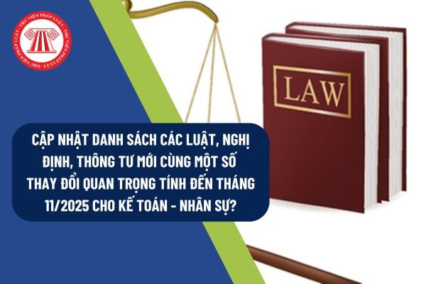 Pháp luật