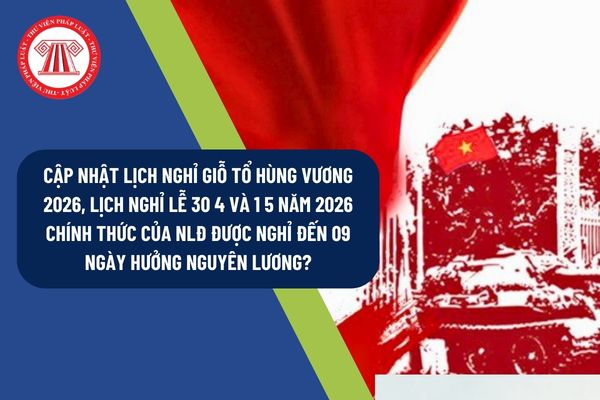 Pháp luật