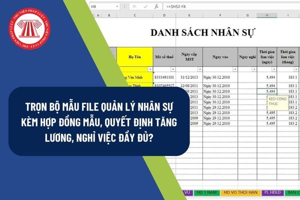 Pháp luật