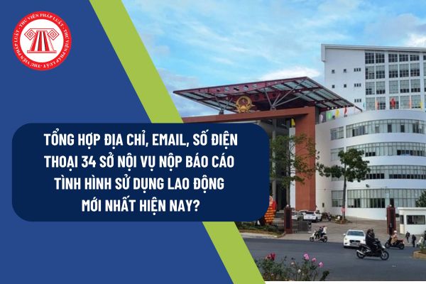 Pháp luật