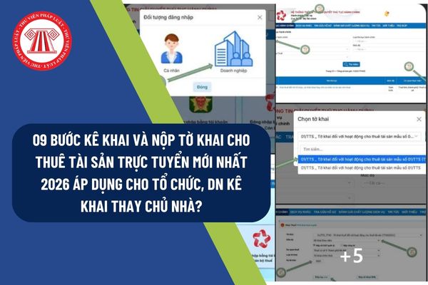 Pháp luật