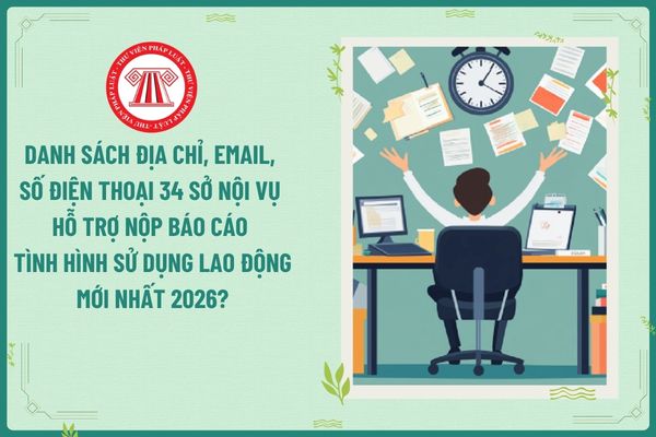 Pháp luật