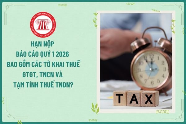 Pháp luật