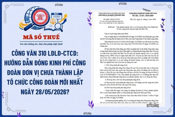 Pháp luật