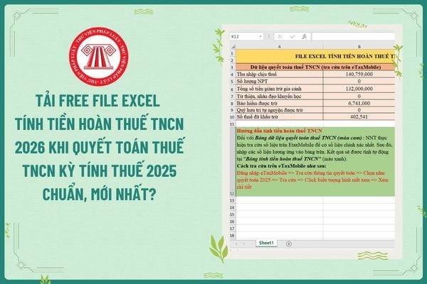 Pháp luật