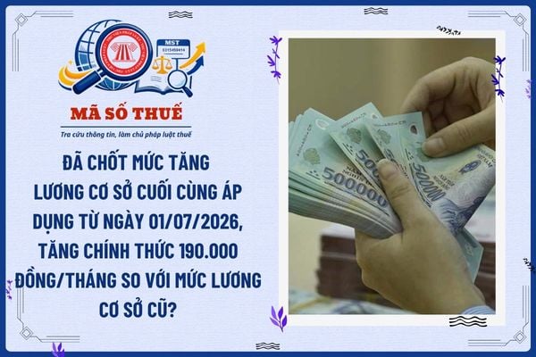 Pháp luật