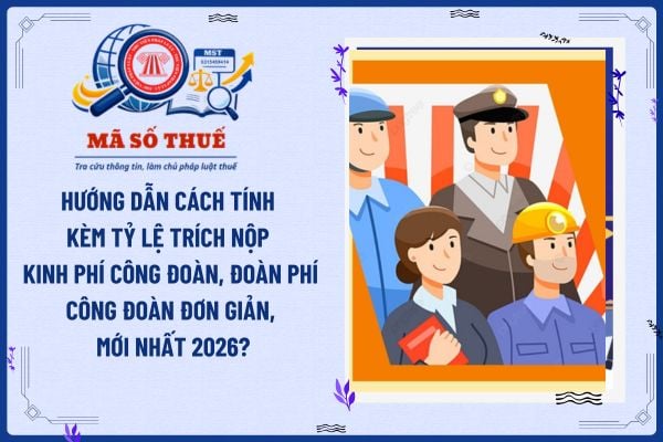 Pháp luật