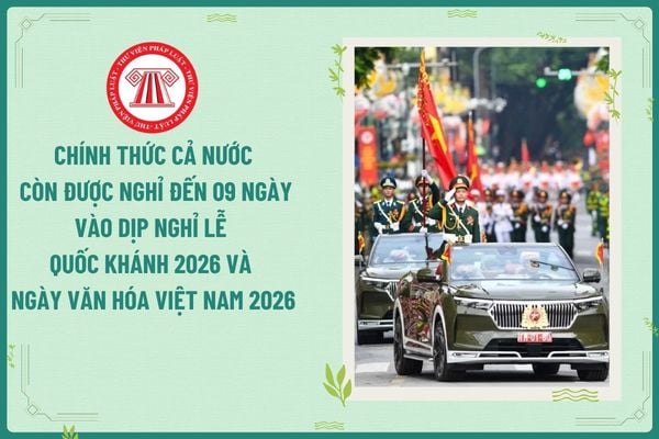 Pháp luật