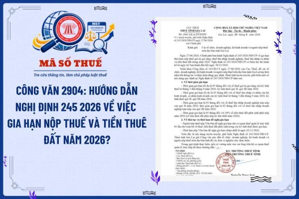 Pháp luật