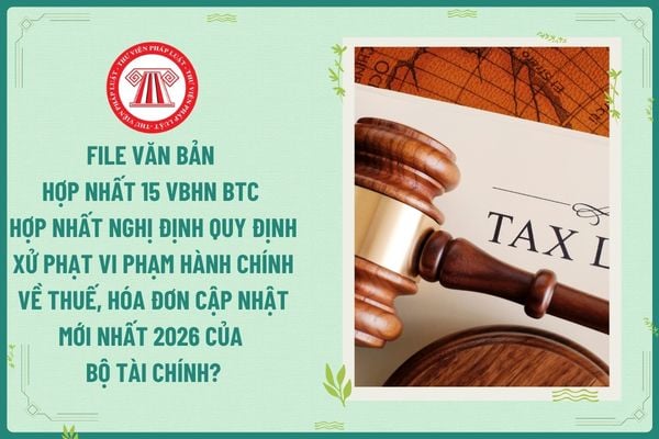Pháp luật