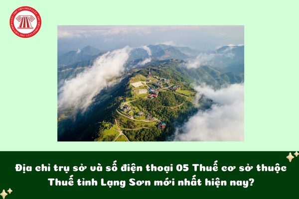 Pháp luật