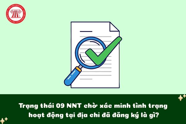 Pháp luật