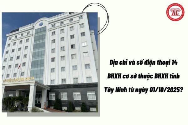 Địa chỉ và số điện thoại 14 BHXH cơ sở thuộc BHXH tỉnh Tây Ninh từ ngày 01/10/2025?