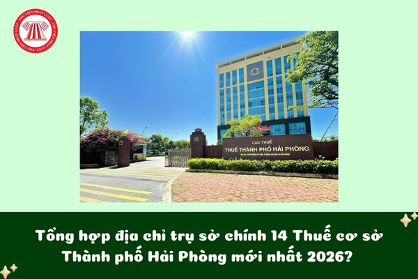 Pháp luật