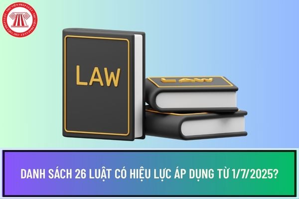 Pháp luật