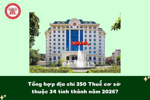 Pháp luật