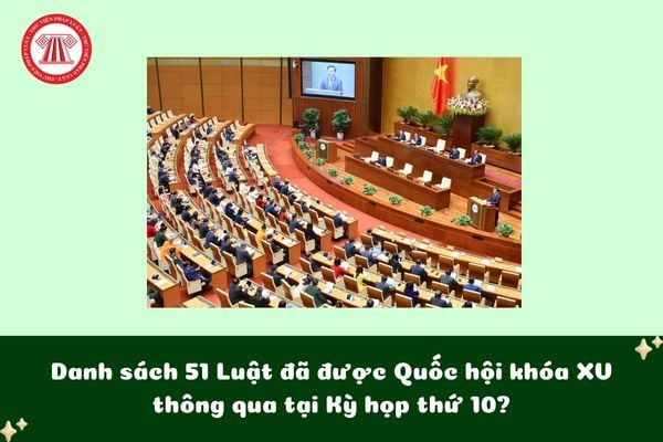 Danh sách 51 Luật đã được Quốc hội khóa XV thông qua tại Kỳ họp thứ 10?