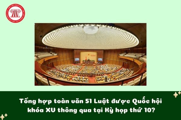 Pháp luật