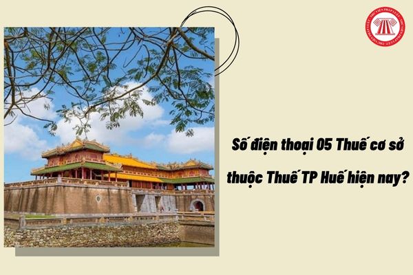 Tổng hợp số điện thoại 05 Thuế cơ sở thuộc Thuế thành phố Huế hiện nay?