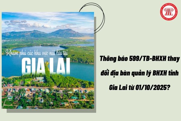 Thông báo 599/TB-BHXH thay đổi địa bàn quản lý BHXH tỉnh Gia Lai từ 01/10/2025?