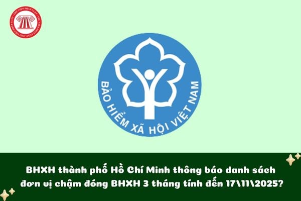 BHXH thành phố Hồ Chí Minh thông báo danh sách đơn vị chậm đóng BHXH 3 tháng tính đến 17/11/2025?