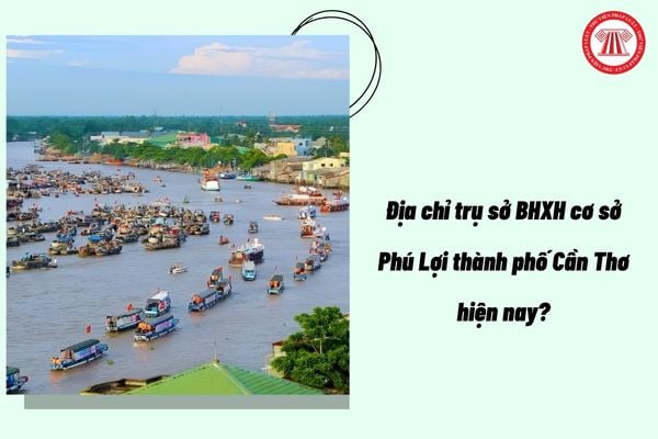 Pháp luật