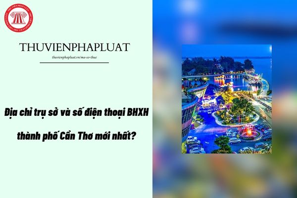 Pháp luật