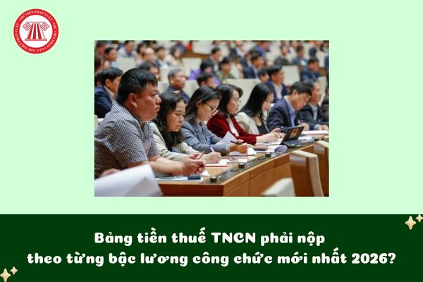 Pháp luật