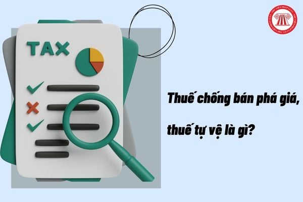 Pháp luật