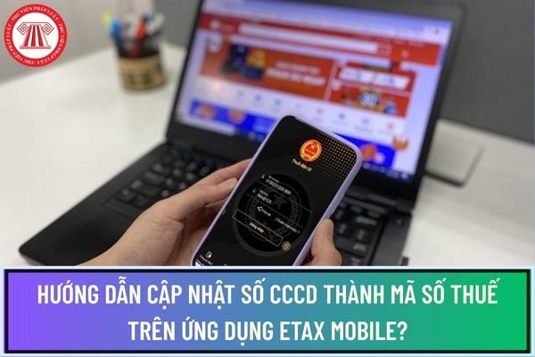 Pháp luật